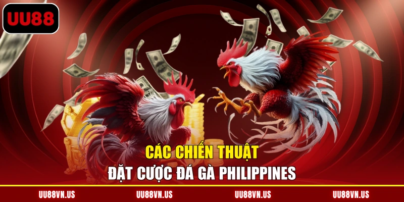 Các chiến thuật đặt cược đá gà Philippines