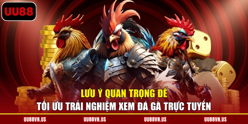 Lưu ý quan trọng để tối ưu trải nghiệm xem đá gà trực tuyến