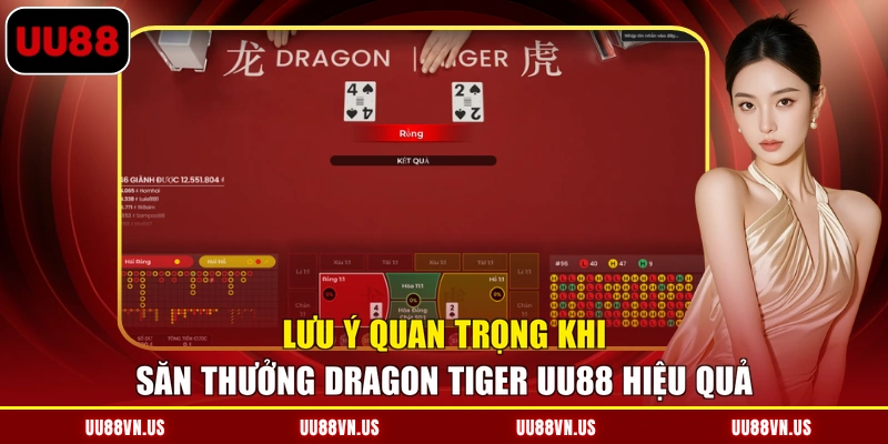 Lưu ý quan trọng khi săn thưởng Dragon Tiger UU88 hiệu quả