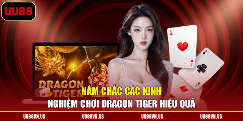 Nắm chắc các kinh nghiệm chơi Dragon Tiger hiệu quả
